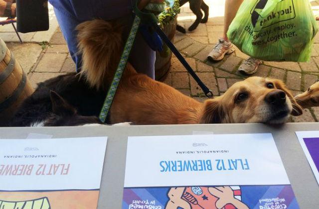 Dog Friendly Brewers