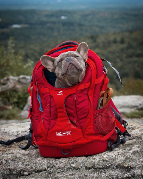 Trail Tested: Kurgo G-Train Backpack