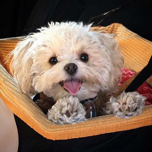 Your Best Instagram Roadtrip Shots