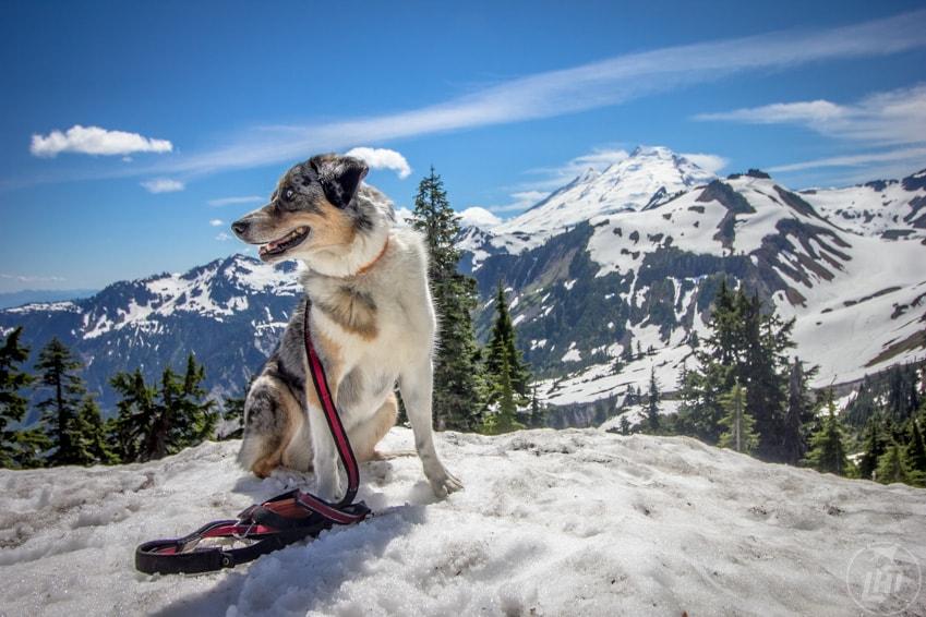7 Ways to Stay Active During the Holidays