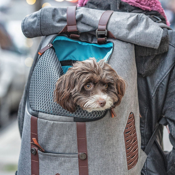 Meet the Designer: Inside the K9 Rucksack Kickstarter Project