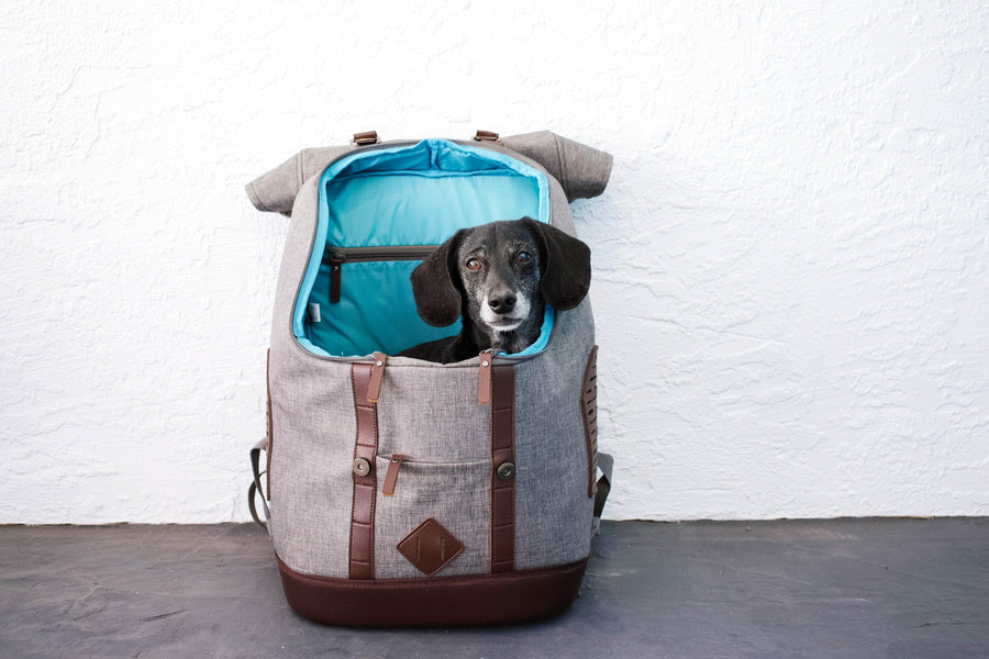 Trail Tested: Kurgo K9 Rucksack Dog Carrier