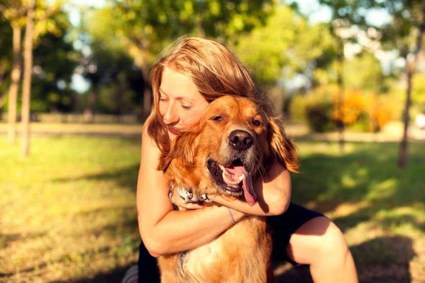 How Dogs Know to Comfort us