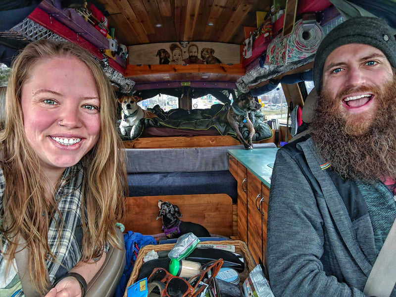 Living The Van Life With Dogs